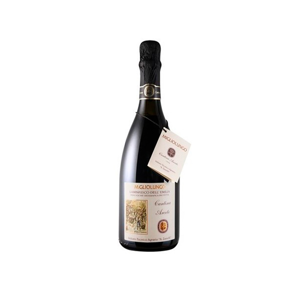 Вино Emilia Wine Lambrusco Migliolungo 0.75L